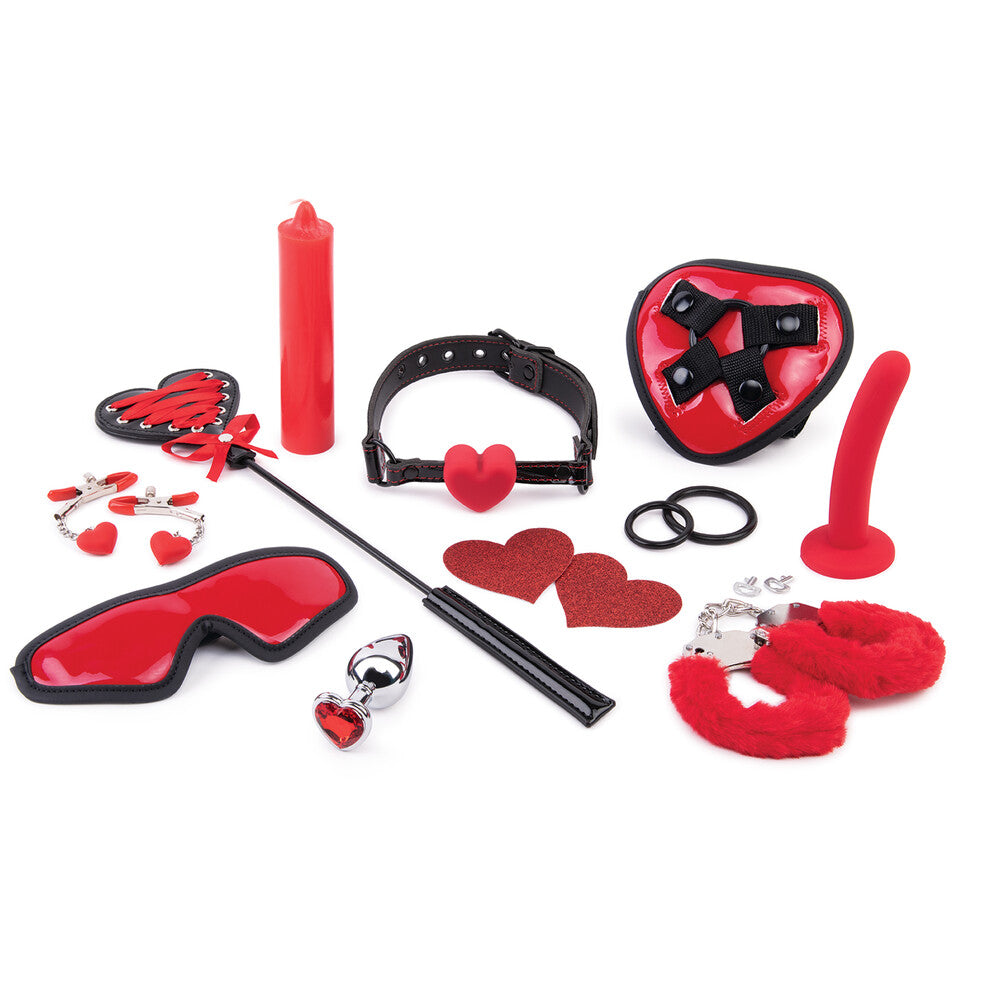 ToyJoy BDSM Starter Kit from Playbox Store – beginner bondage set with whip, rope, mask, gag and clamps for couples